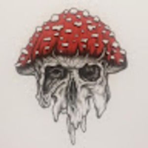 Meet your Posher, Mushy